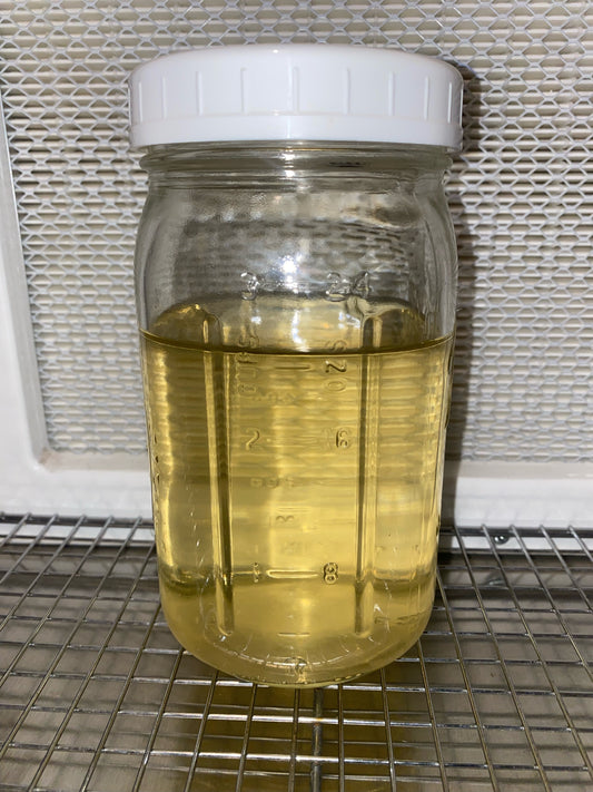 Liquid Culture Base 600 ml