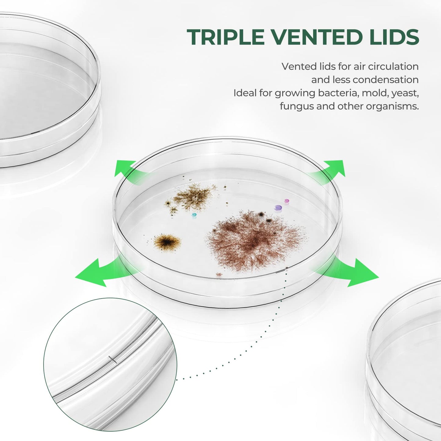 Sterile Thick Plastic Petri Dishes with Lids, 90mm x 15mm